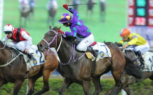 Brett Prebble urges High And Mighty to victory. Photos: Kenneth Chan