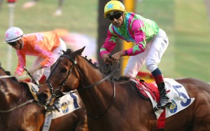Horse Of Fortune (Karis Teetan) beats Helene Paragon (Zac Purton) in Sunday’s Group Three Sa Sa Ladies’ Purse. Photos: Kenneth Chan