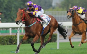 Eastern Express won for Karis Teetan last time out but the ride has gone to Brett Prebble now. Photos: Kenneth Chan