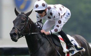 Chad Schofield wins on World Record. Photos: Kenneth Chan