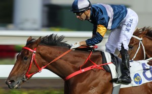Joao Moreira guides the classy My Darling to victory on Tuesday. Photos: Kenneth Chan