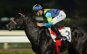 Jolly Banner makes it three straight at Sha Tin on November 27 and returns on Saturday with Chad Schofield aboard and the top weight in Class Two. Photos: Kenneth Chan