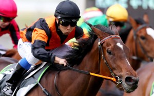 Matthew Poon rides a winner in Adelaide. Photos: Handout