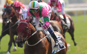 Douglas Whyte does his best to get Music Legend over the line at Sha Tin on Saturday. Photos: Kenneth Chan