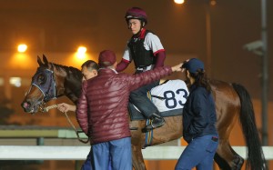 John Moore gives instructions to Werther’s trackwork rider on Thursday morning. Photos: Kenneth Chan