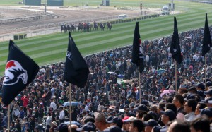 Fans pack in to watch the action at Sha Tin on International Day. Photos: Kenneth Chan