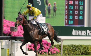 Hugh Bowman celebrates as Werther crushes his rivals in the Group One Audemars Piguet QEII Cup at Sha Tin in April. Photos: Kenneth Chan