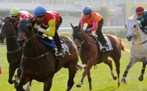 Grade One (second from left) cruises home in a Happy Valley trial for Karis Teetan. Photos: Kenneth Chan