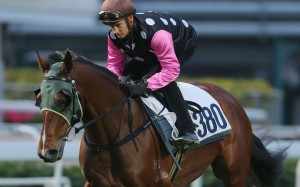 Zac Purton and Beauty Generation in action on Tuesday. Photo: Kenneth Chan