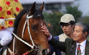 Tony Cruz and Gold Mount, one of his three runners in the BMW Hong Kong Derby along with Pakistan Star and Circuit Hassler. Photos: Kenneth Chan.