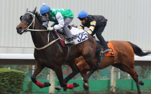 Pakistan Star works home nicely in a trial on Mach 10. Photos: Kenneth Chan.