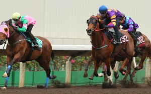 Aerovelocity beats Eastern Express in a barrier trial on Tuesday. Photo: Kenneth Chan