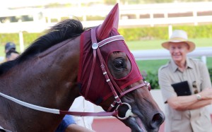 Trainer John Moore runs his eye over Magic Legend after the three-year-old’s win on April 17. Photos: Kenneth Chan.