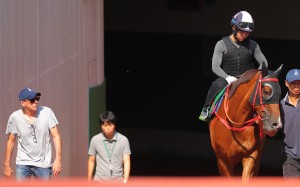 John Size and Contentment after trackwork in Japan. Photos: Kenneth Chan