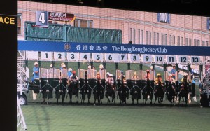 A stray rake causes the barriers at Happy Valley to malfunction. Photos: Kenneth Chan