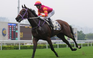 Top Beautiful dominates with Joao Moreira aboard in the opening race of the season. Photos: Kenneth Chan.