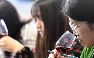 Strong world economy and recovery in buying by wealthy Chinese propel 25 per cent rise in fine-wine values in past 12 months – but art market could prove even better performer if autumn sales are strong