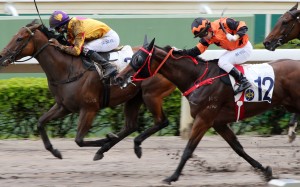 Joao Moreira guides Star Superior (left) to victory at Sha Tin on Sunday. Photos: Kenneth Chan