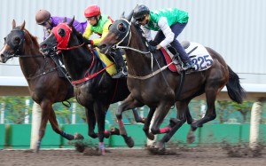 Star jockey Joao Moreira gives his seal of approval, but the horse must pass one more test before he is allowed to compete again after stunning world racing last time out