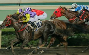 I’m The Won For You (left) wins on the all-weather track at Sha Tin in January. Photos: Kenneth Chan