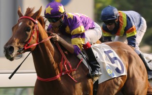 Joao Moreira guides Western Express to victory in February. Photos: Kenneth Chan