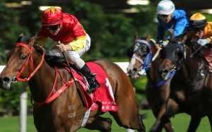 Zac Purton gets the best out of Starlight at Happy Valley on Wednesday night. Photos: Kenneth Chan