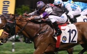 Karis Teetan guides Megatron to victory in February. Photos: Kenneth Chan