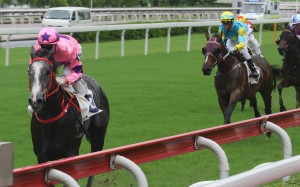 Hot King Prawn was a dominant winner of a griffin race in June. Photos: Kenneth Chan.