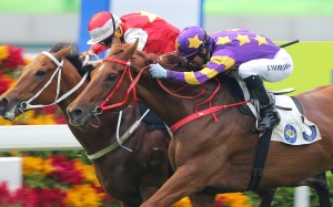 Western Express (right) edges out Wah May Friend on the line in the Class One Panasonic Cup on Saturday. Photos: Kenneth Chan