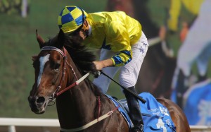 Werther wins the Group One Champions & Chater Cup in May. Photos: Kenneth Chan