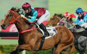 Joao Moreira guides Beat The Clock to a convincing victory at Sha Tin on Sunday. Photo: Kenneth Chan
