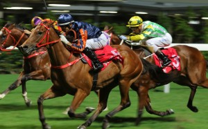 Affluence Star (left) finishes second to Sir Redlot (middle) on Wednesday night. Photo: Kenneth Chan