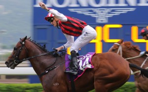 The South African trainer worked hard to get the talented five-year-old a start in Hong Kong’s richest race, but his plan has been derailed