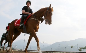 Hong Kong Cup runner Robin Of Navan going back to his stable after gallop on the all-weather track at Sha Tin. Photos: Kenneth Chan