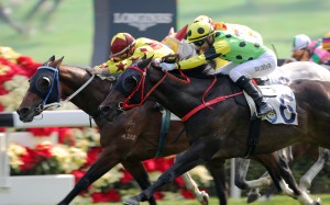 Southern Legend (left) knocks off $1.20 favourite Nothingilikemore. Photos: Kenneth Chan