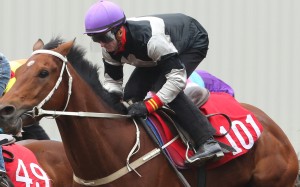 Exultant wins his trial under Zac Purton on December 12. Photos: Kenneth Chan.