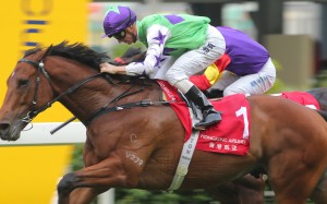 Zac Purton guides Thunder Stomp to victory at Happy Valley in October. Photos: Kenneth Chan