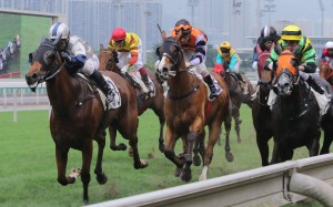 Archippus (left) is no stranger to starring down the straight 1,000 metres at Sha Tin and gets his chance in Group company in the Bauhinia Sprint on Sunday. Photos: Kenneth Chan