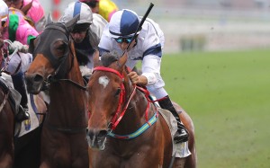 John Size’s sprinter gets the chance to land a feature race on Sunday