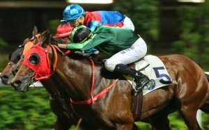 Nash Rawiller gets the most out of Sparkling Talent in a close finish to win at Happy Valley in October. Photos: Kenneth Chan.