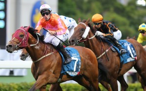 Tommy Berry celebrates Helene Paragon’s Stewards’ Cup victory last year. Photos: Kenneth Chan
