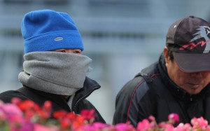 Racing fans brace the cold at Sha Tin on Sunday. Photos: Kenneth Chan