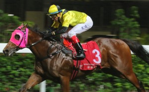 Douglas Whyte guides Born In China to victory in November. Photos: Kenneth Chan