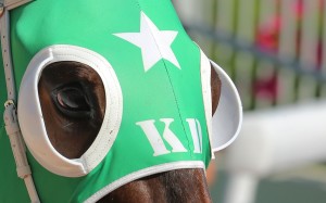 Pakistan Star, who stopped during a race last June, makes his long-awaited return at Sha Tin on Sunday. Photo: Kenneth Chan