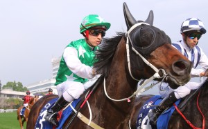 Pakistan Star returns to scale after racing in the Group One Citi Hong Kong Gold Cup on Sunday. Photos: Kenneth Chan