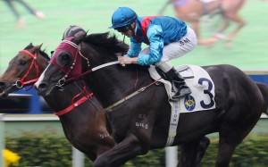 John Moore’s four-year-old takes a step in the right direction while John Size will wait until the last minute before making a decision about his gelding