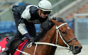 Exultant trials at Sha Tin for Zac Purton. Photos: Kenneth Chan.