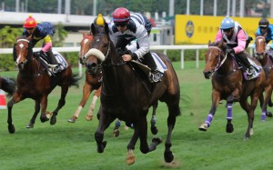 Harmony Hero cruises to a trial win on February 24. Photos: Kenneth Chan.