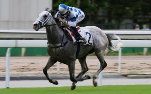 Silverfield wins at Sha Tin in September. Photos: Kenneth Chan