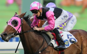 Chad Schofield lifts Win Beauty Win to victory. Photos: Kenneth Chan